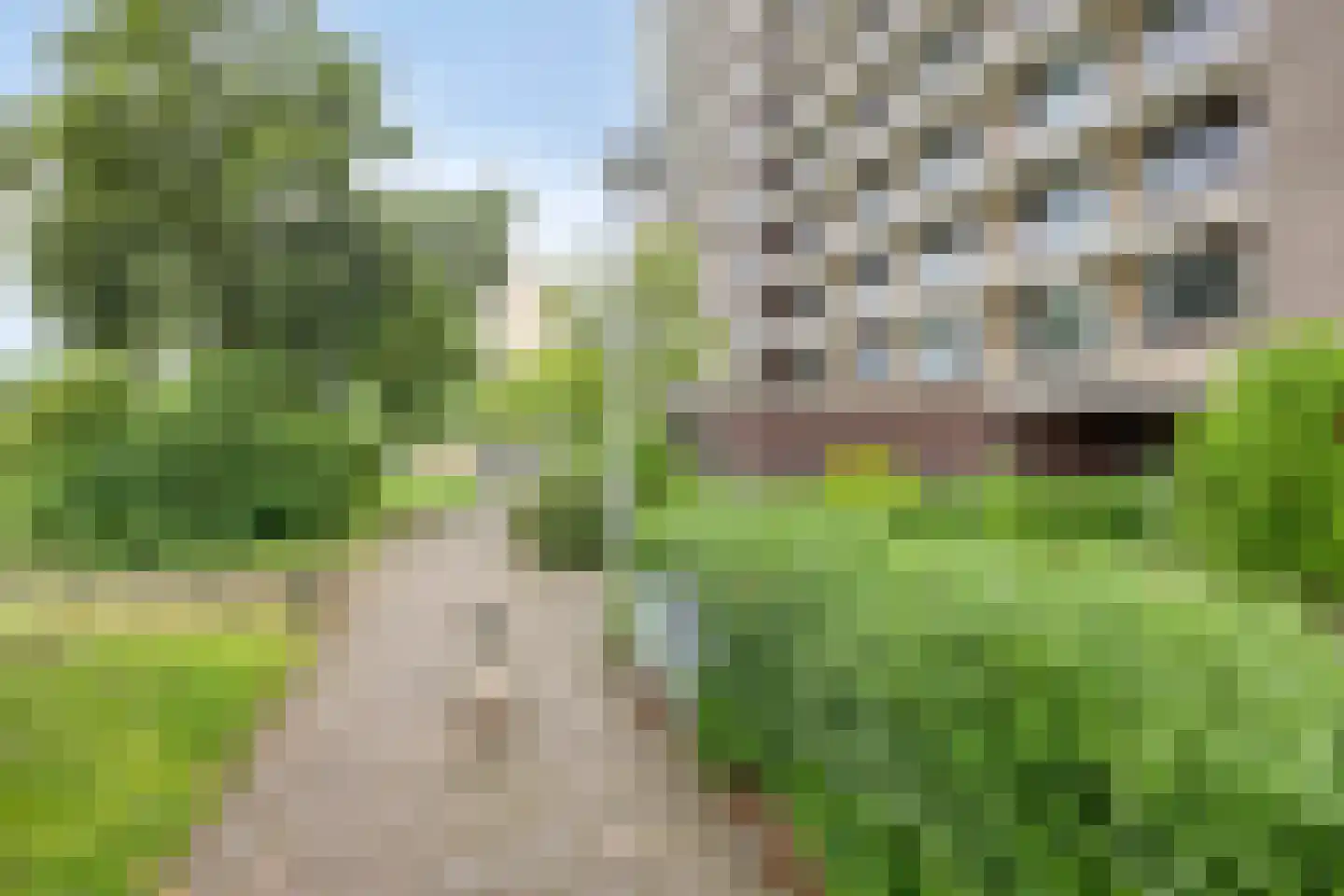 Groningensingel 915 Arnhem thumbnail 7
