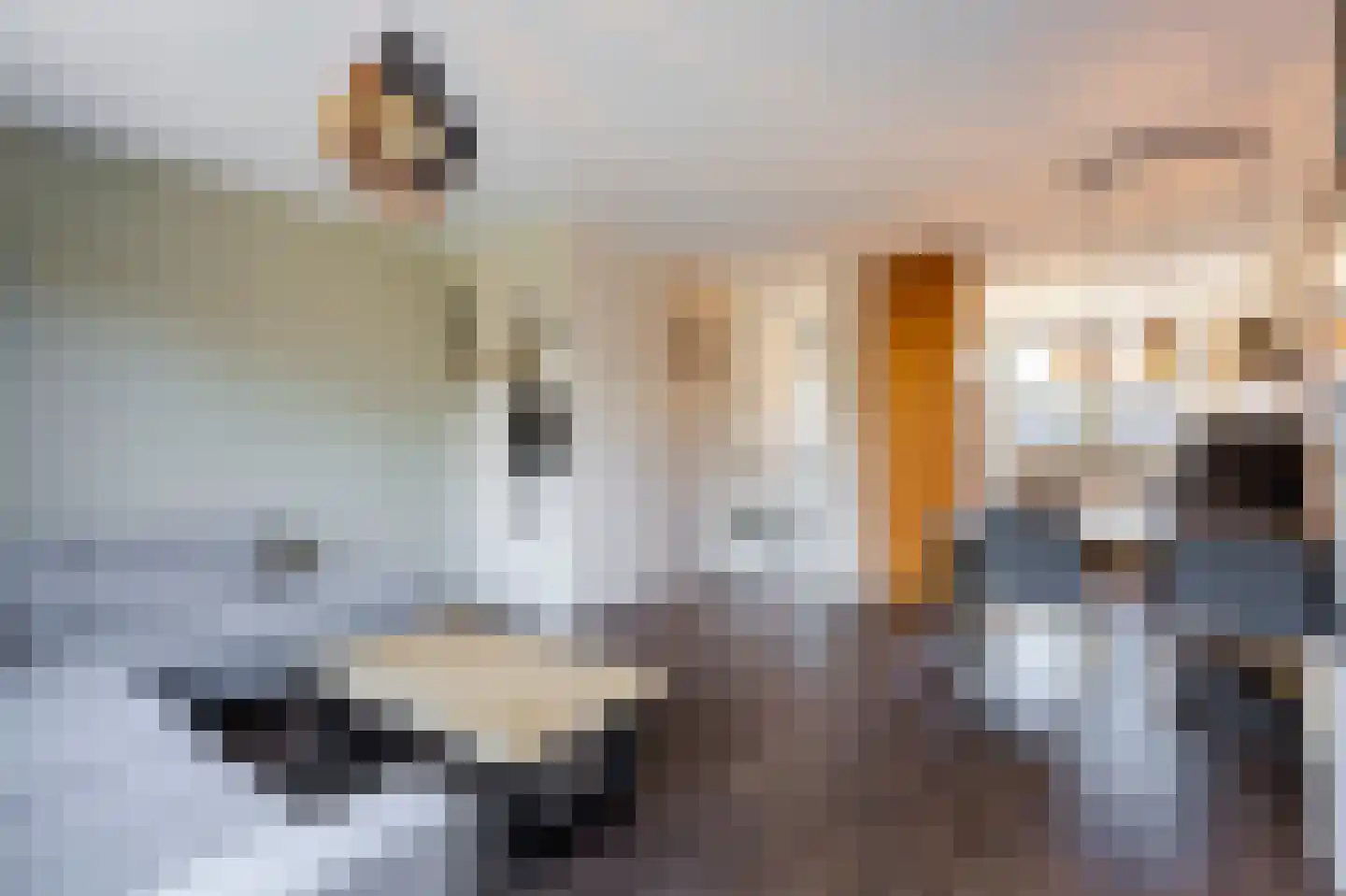 Groninger Kroon 5 Hardinxveld-Giessendam thumbnail 4