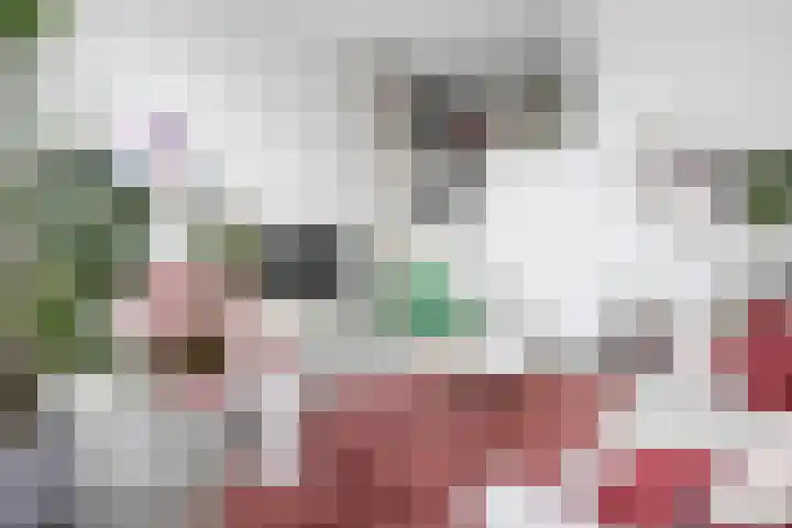Groninger Kroongaarde 14 Amersfoort thumbnail 15