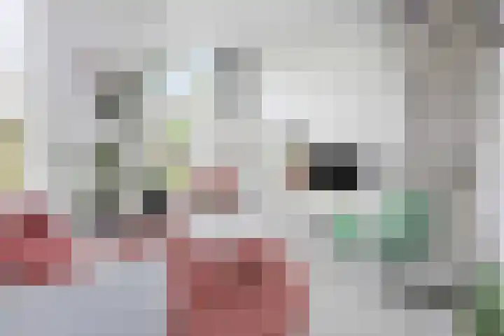 Groninger Kroongaarde 14 Amersfoort thumbnail 16
