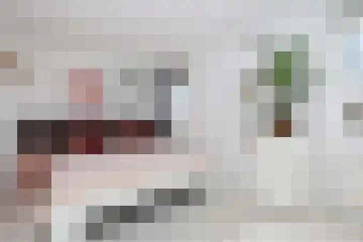 Groninger Kroongaarde 14 Amersfoort thumbnail 27