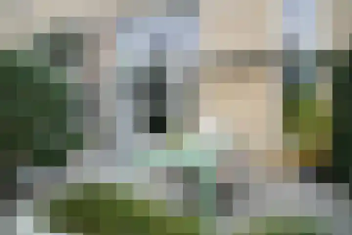 Groninger Kroongaarde 14 Amersfoort thumbnail 37