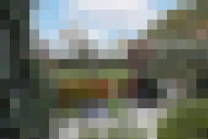 Groninger Kroongaarde 14 Amersfoort thumbnail 40