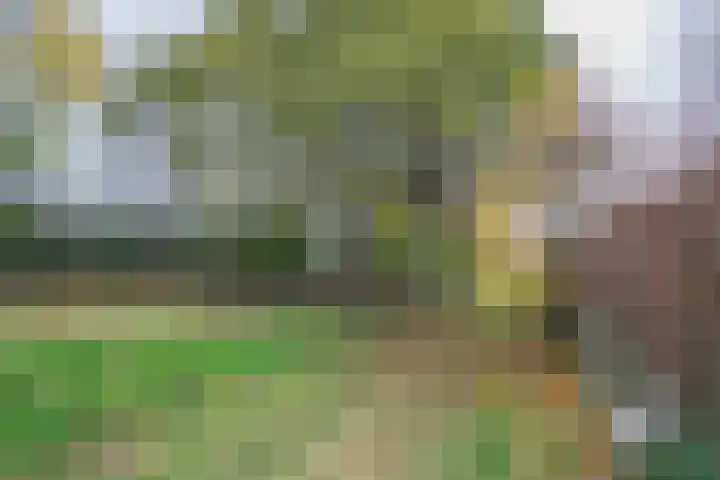 Groninger Kroongaarde 14 Amersfoort thumbnail 42