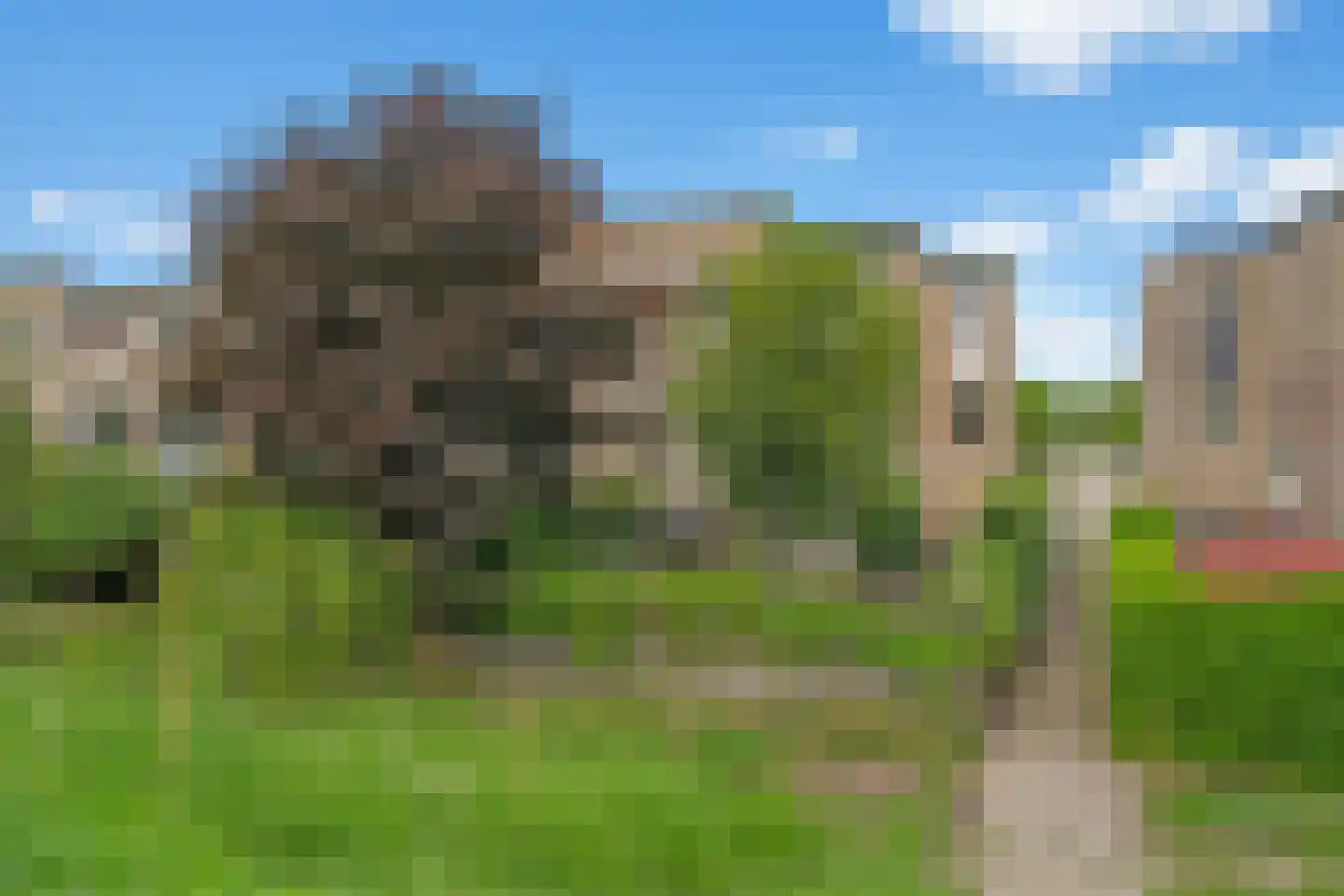Groninger Kroongaarde 28 Amersfoort thumbnail 64
