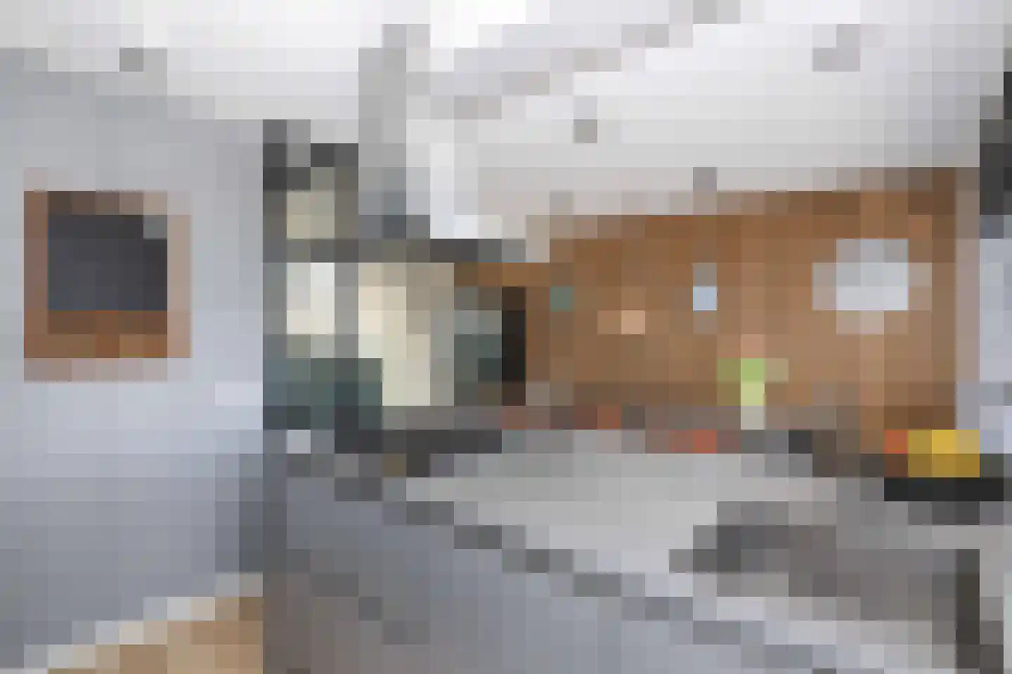 Groninger Kroongaarde 34 Amersfoort thumbnail 14