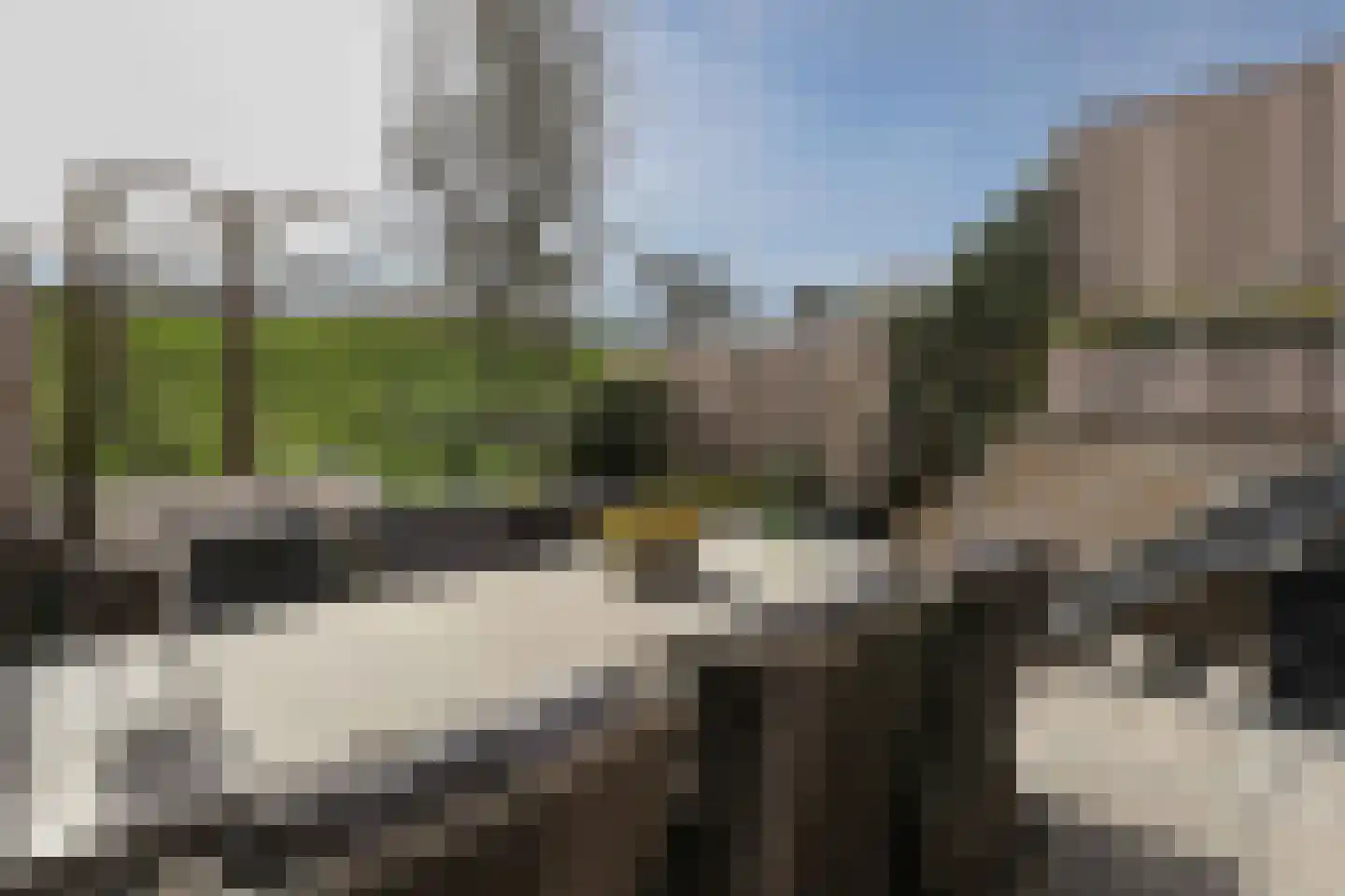 Groninger Kroongaarde 34 Amersfoort thumbnail 36