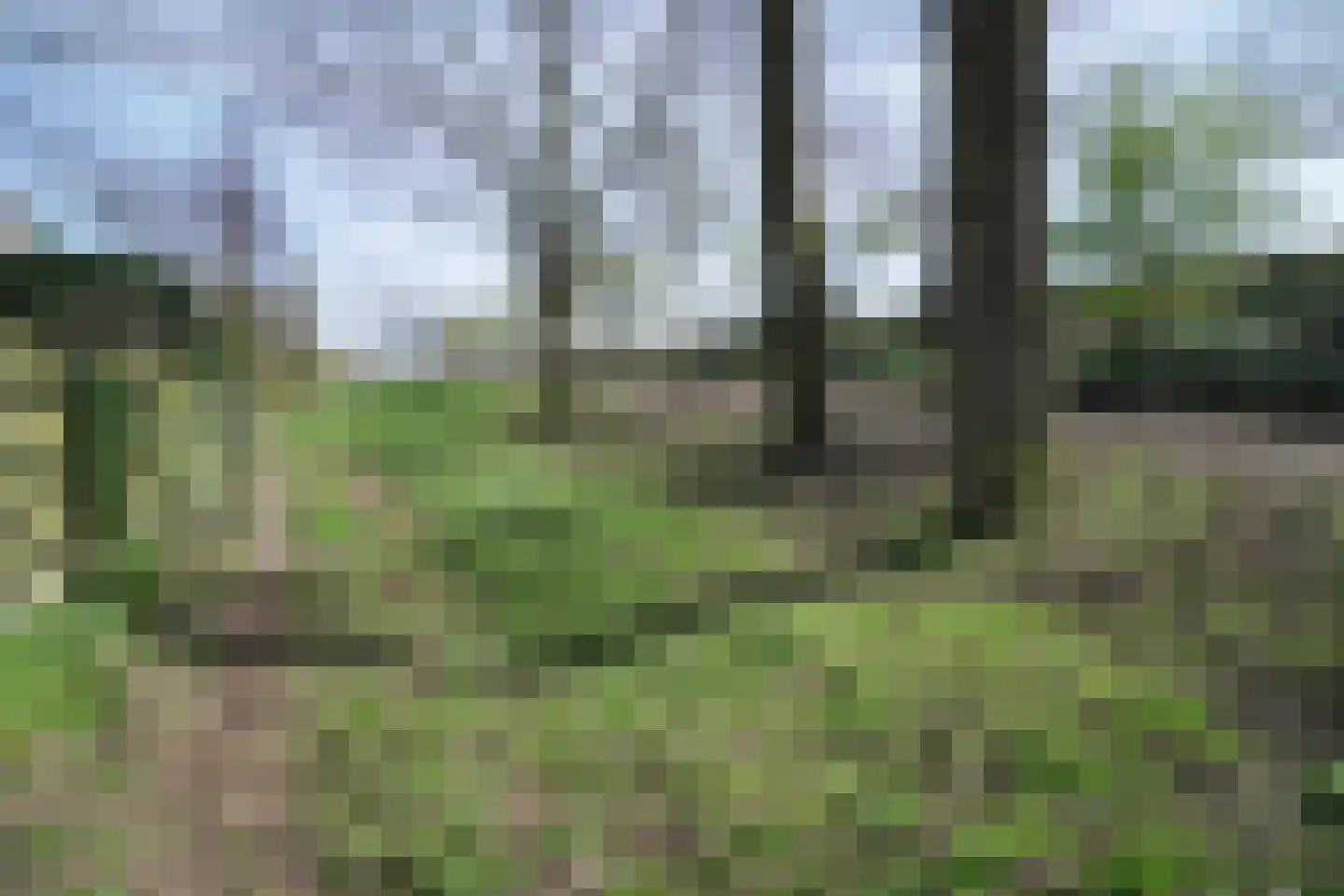 Groninger Kroongaarde 34 Amersfoort thumbnail 50