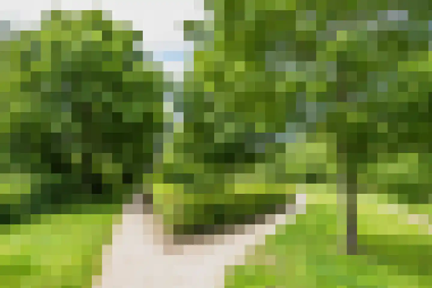 Groninger Meeuwlaan 65 Barneveld thumbnail 34