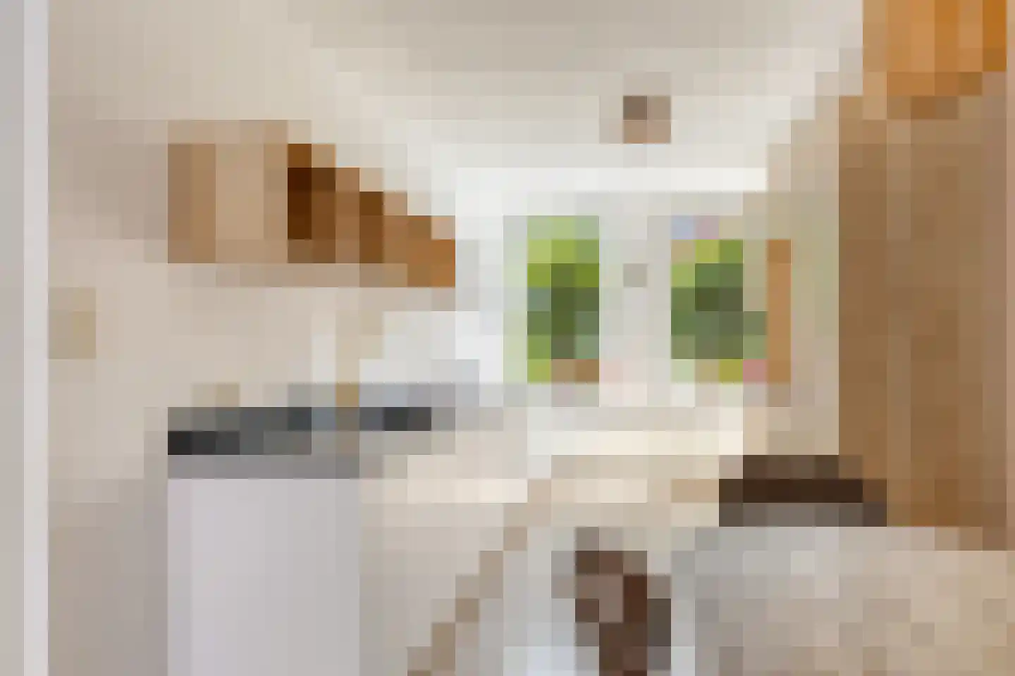 Groninger Meeuwlaan 65 Barneveld thumbnail 8