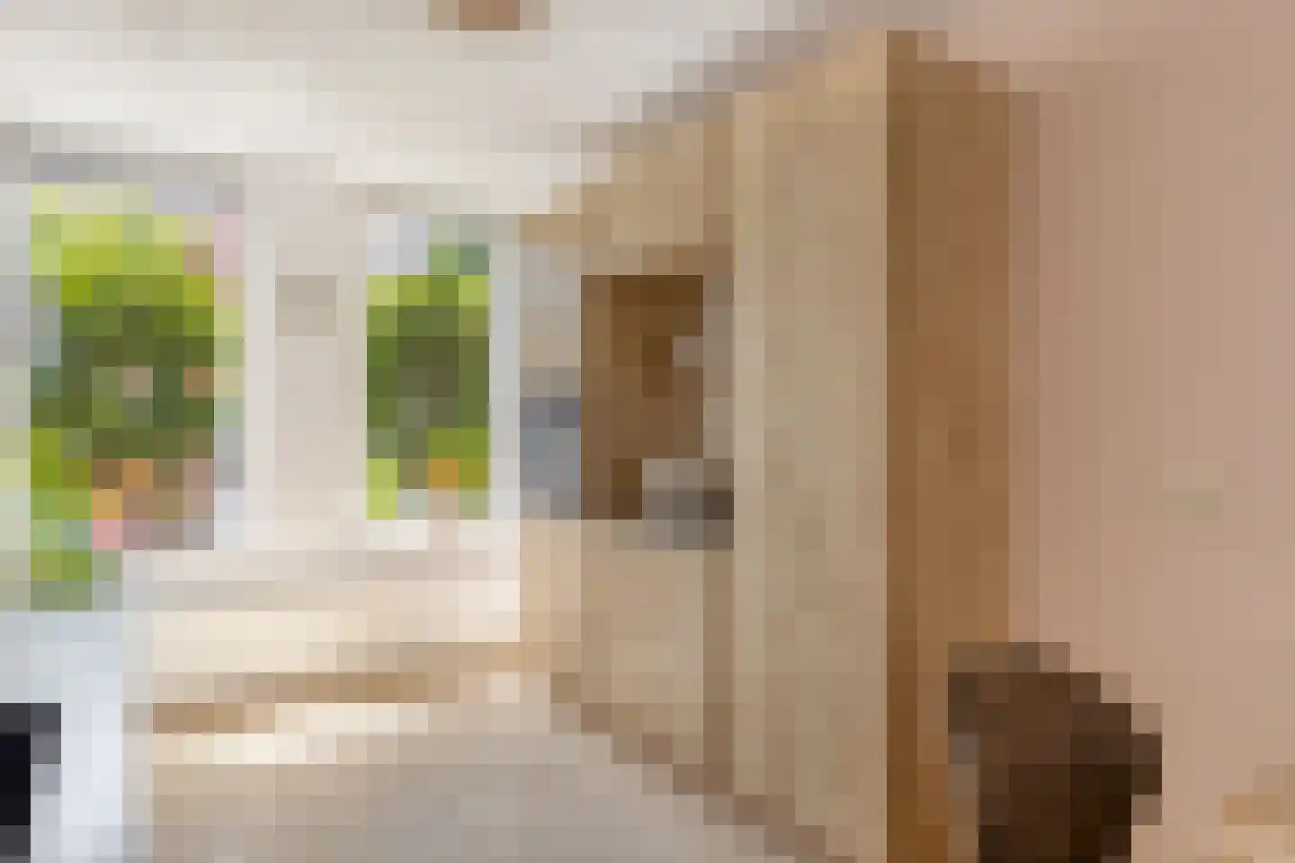 Groninger Meeuwlaan 65 Barneveld thumbnail 9