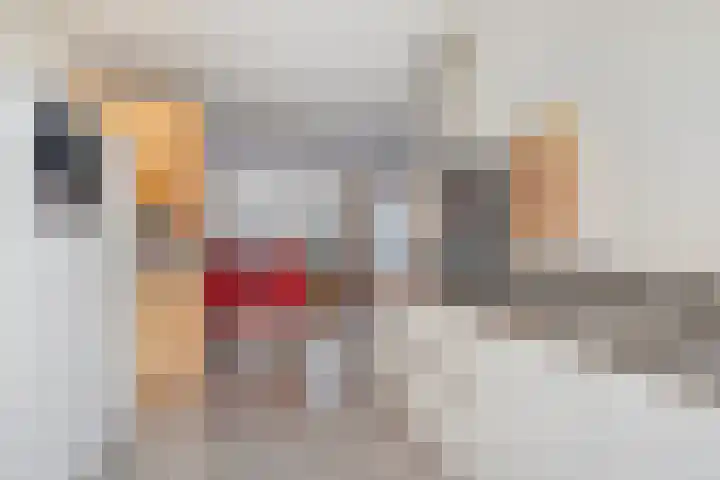 Groninger Meeuwlaan 71 Barneveld thumbnail 10