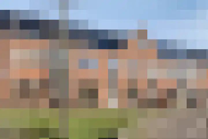 Groninger Meeuwlaan 71 Barneveld foto 2