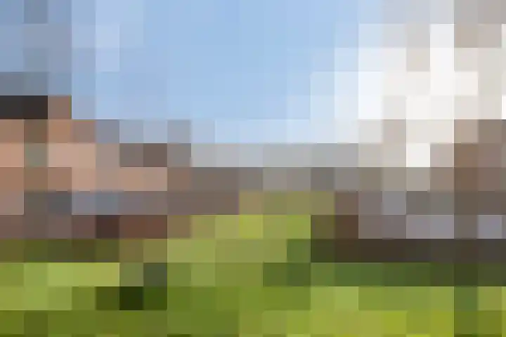 Groninger Meeuwlaan 71 Barneveld thumbnail 26