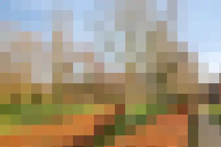 Groninger Meeuwlaan 71 Barneveld thumbnail 27