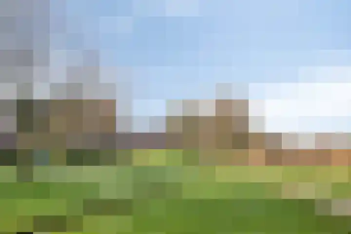 Groninger Meeuwlaan 71 Barneveld thumbnail 28