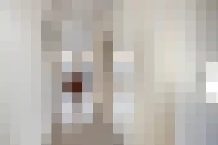 Groninger Meeuwlaan 71 Barneveld thumbnail 4