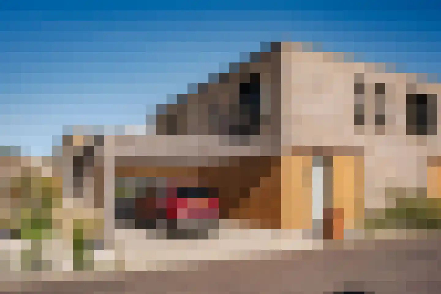 Groningerlaan 11 Cruquius thumbnail 20