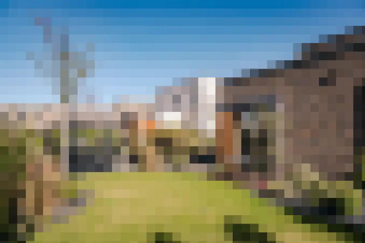 Groningerlaan 11 Cruquius thumbnail 22