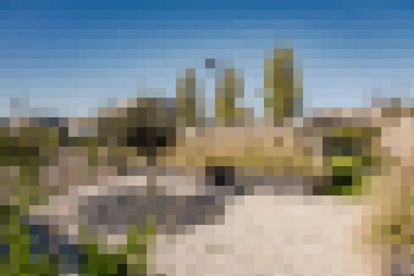 Groningerlaan 11 Cruquius thumbnail 25