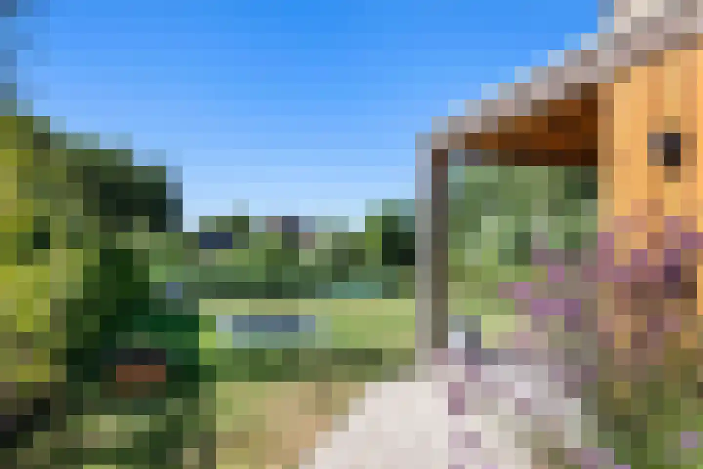 Groningerlaan 38 Cruquius thumbnail 12