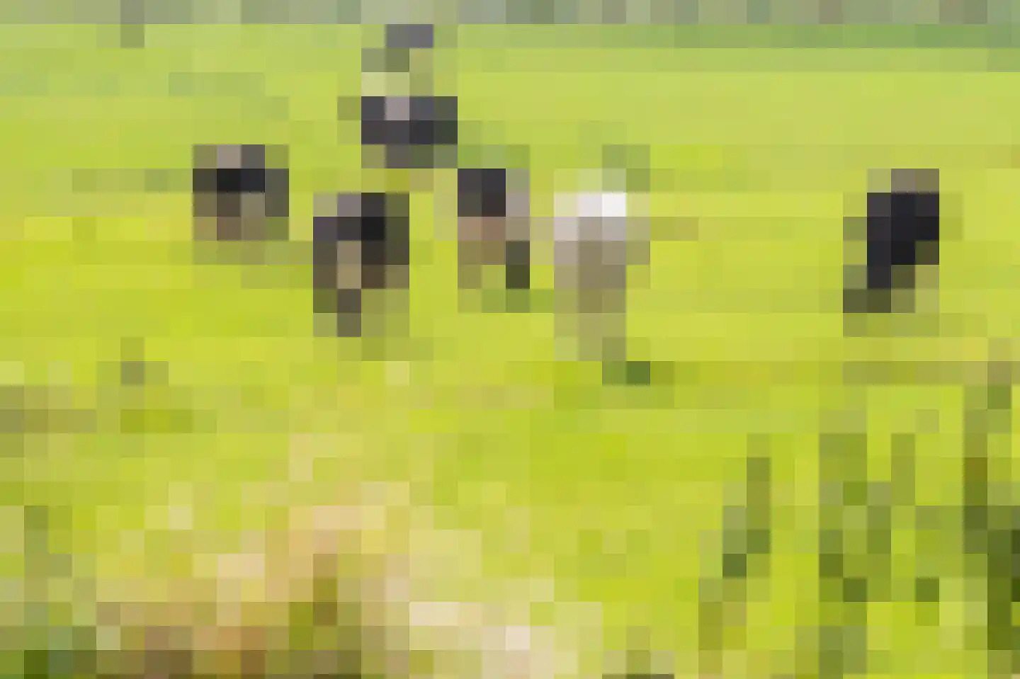 Groningerlaan 38 Cruquius thumbnail 64