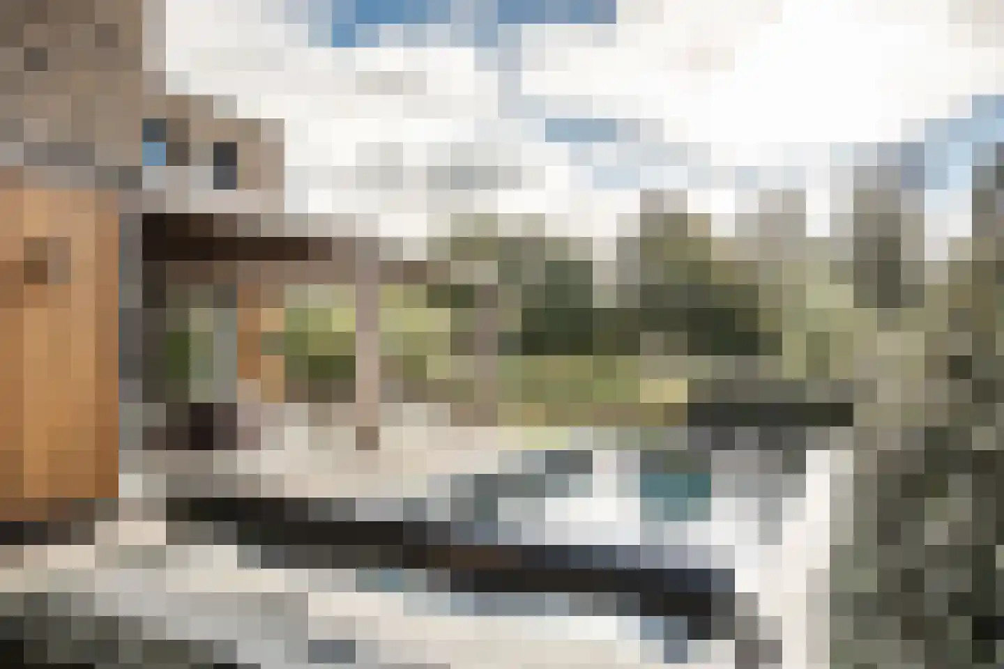 Groningerlaan 52 Cruquius thumbnail 21