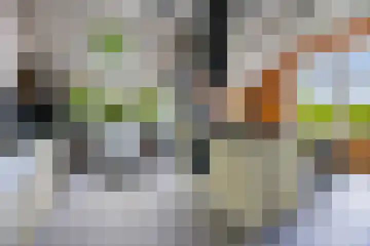 Groningerstraat 133 De Punt thumbnail 38