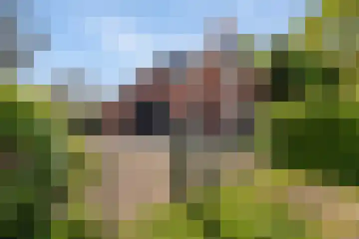 Groningerstraat 133 De Punt thumbnail 4