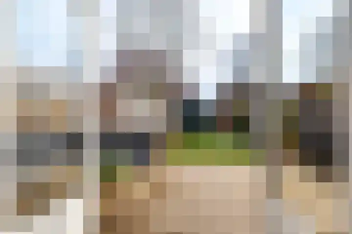 Groningerstraat 146 Assen thumbnail 30