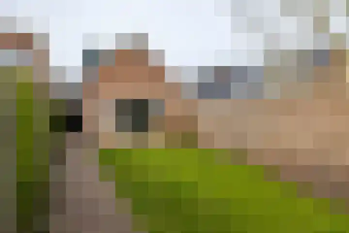 Groningerstraat 146 Assen thumbnail 34