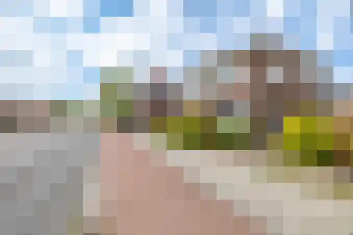 Groningerstraat 157 Assen thumbnail 6
