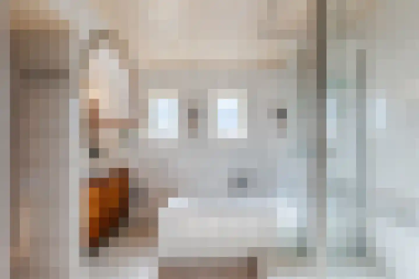 Groningerstraat 173 De Punt thumbnail 21