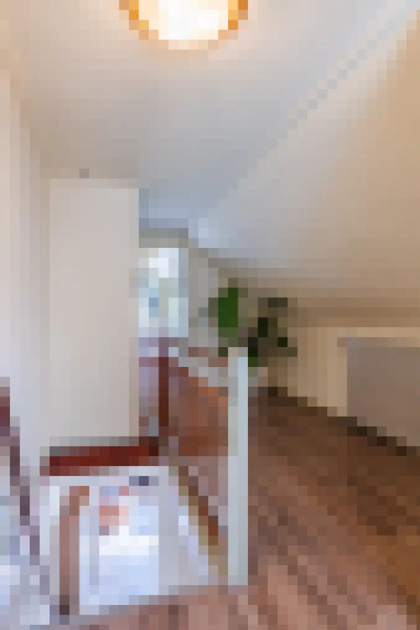 Groningerstraat 173 De Punt thumbnail 35