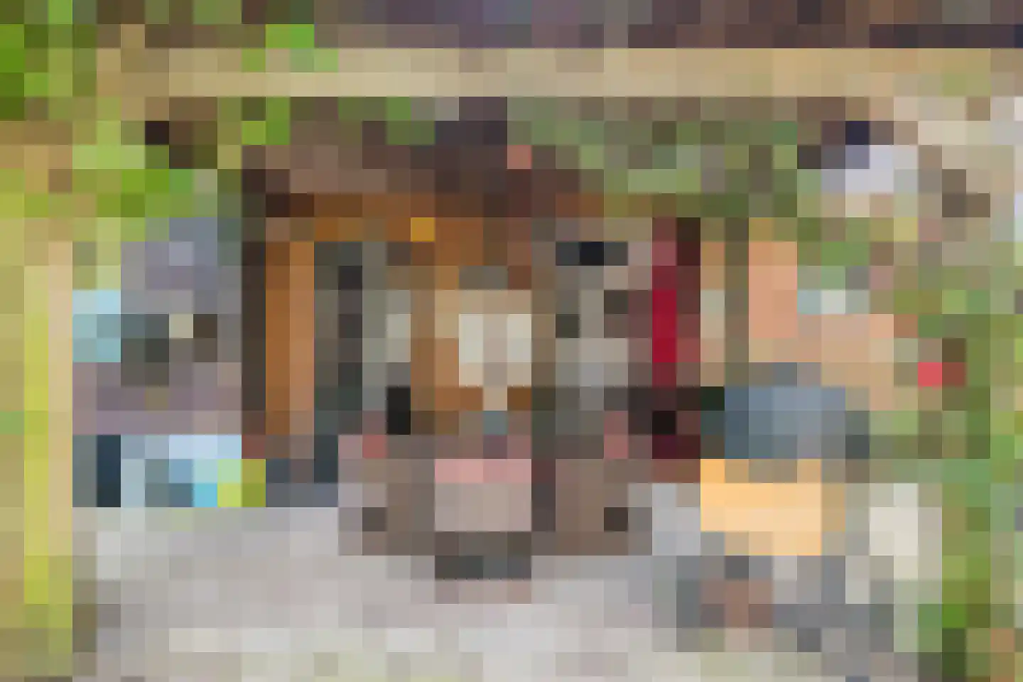 Groningerstraat 173 De Punt thumbnail 57