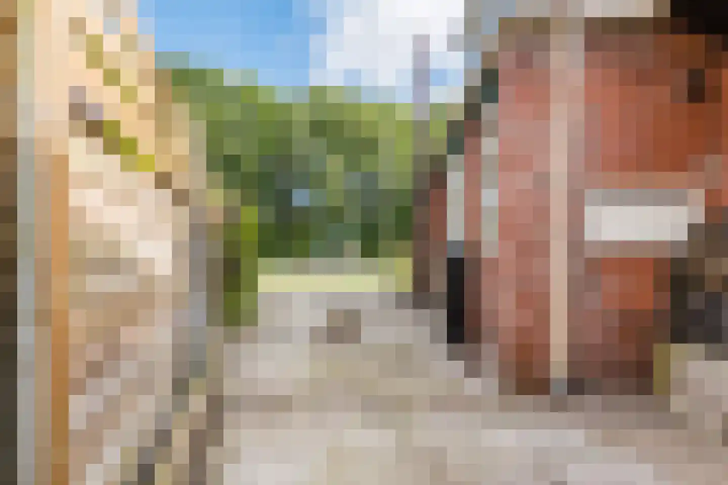 Groningerstraat 173 De Punt thumbnail 69