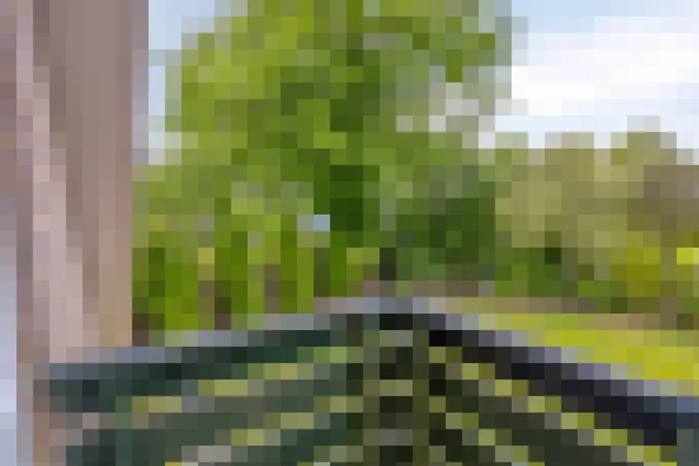 Groningerstraat 24 Roden thumbnail 30