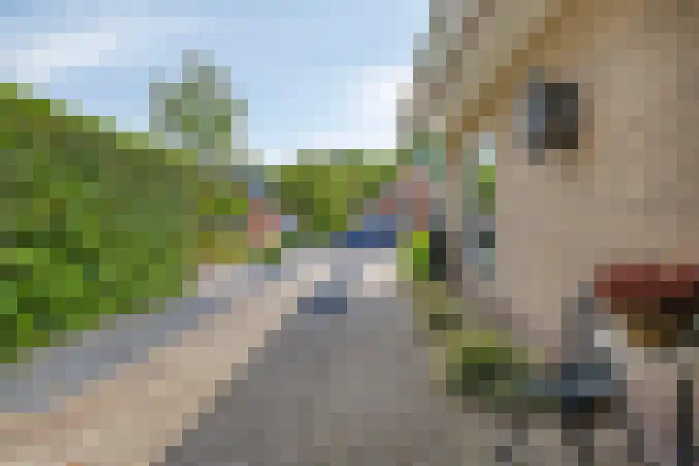 Groningerstraat 24 Roden thumbnail 45