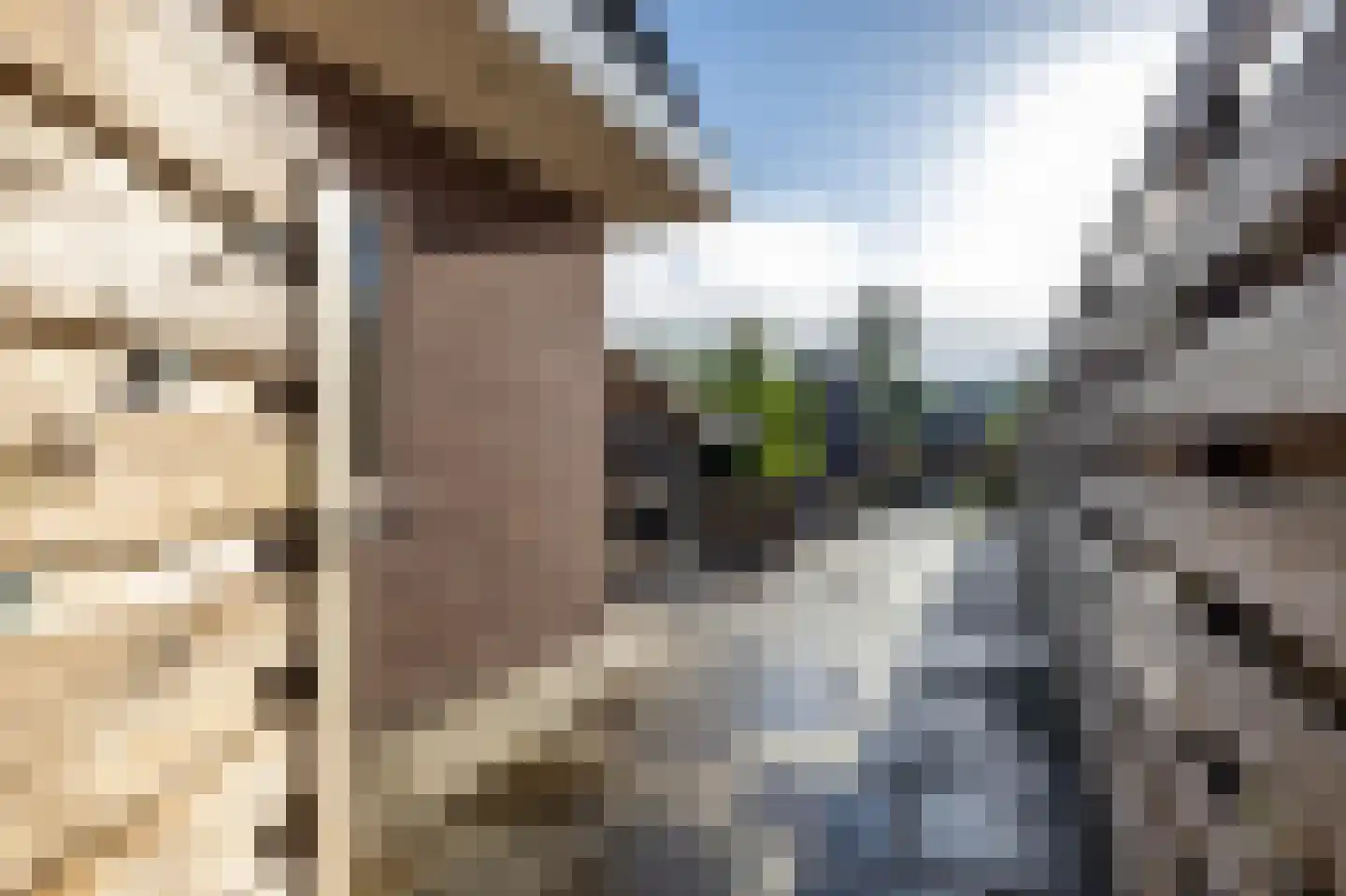 Groningerstraat 246 Assen thumbnail 33