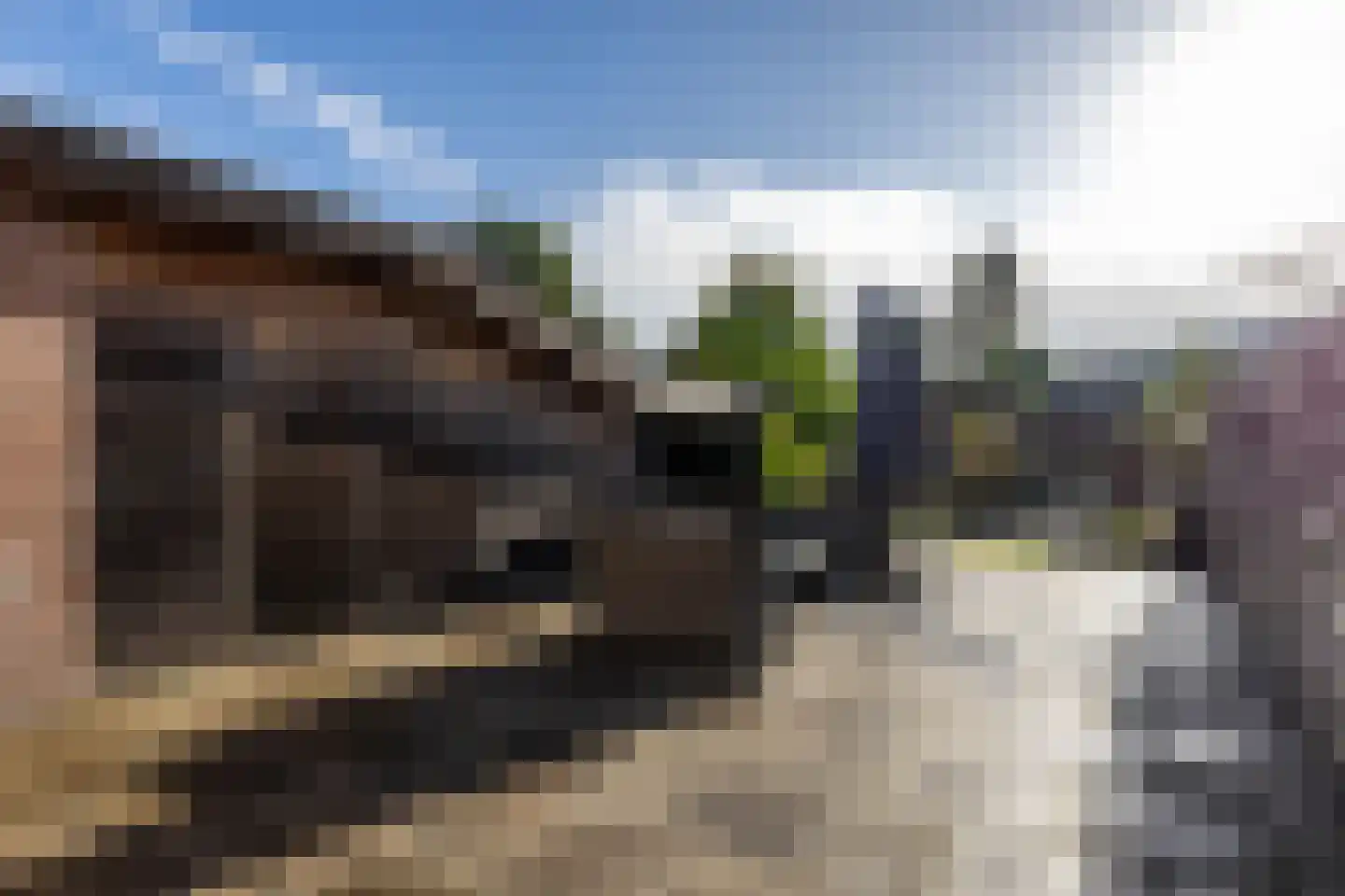 Groningerstraat 246 Assen thumbnail 4