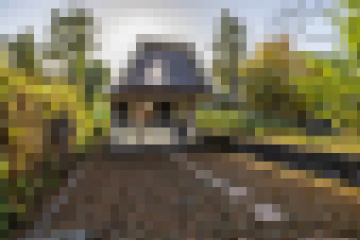 Groningerstraat 246 Assen thumbnail 40