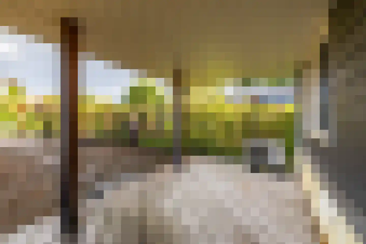 Groningerstraat 246 Assen thumbnail 41