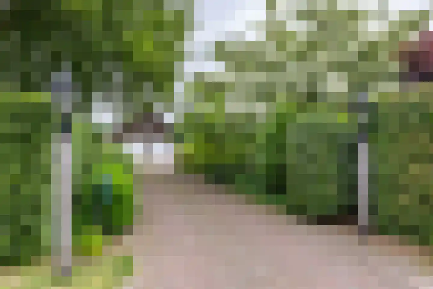 Groningerstraat 25 Midlaren thumbnail 4