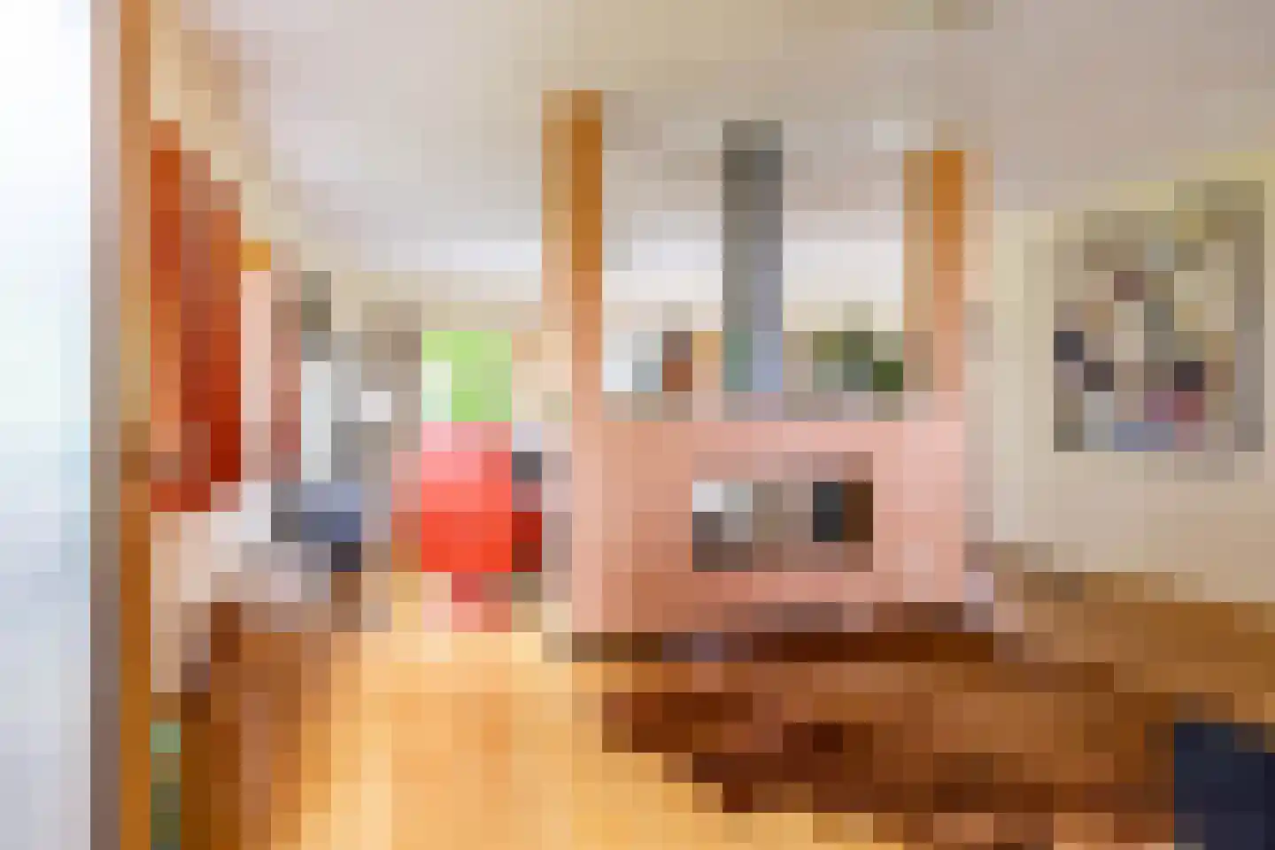 Groningerstraat 25 Midlaren thumbnail 55