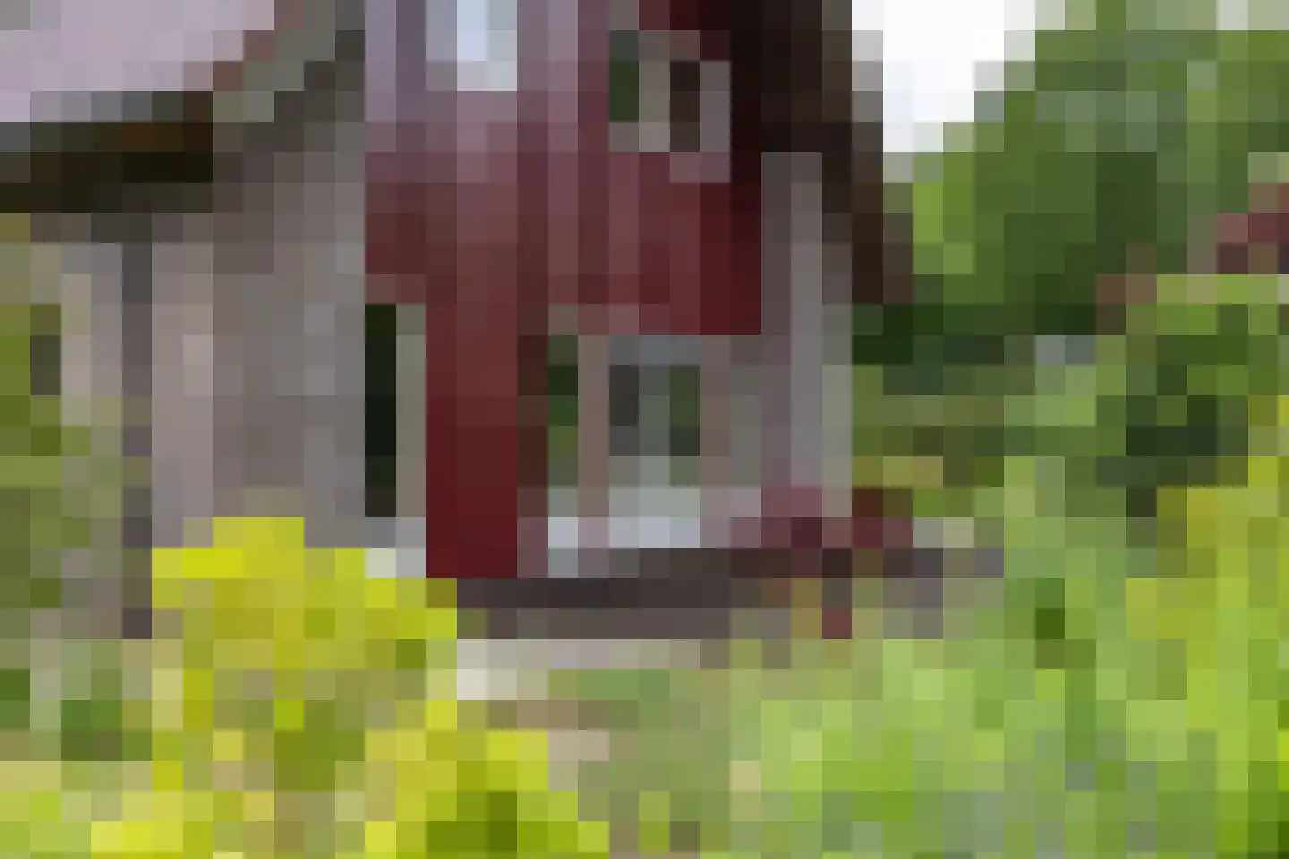 Groningerstraat 25 Midlaren thumbnail 76