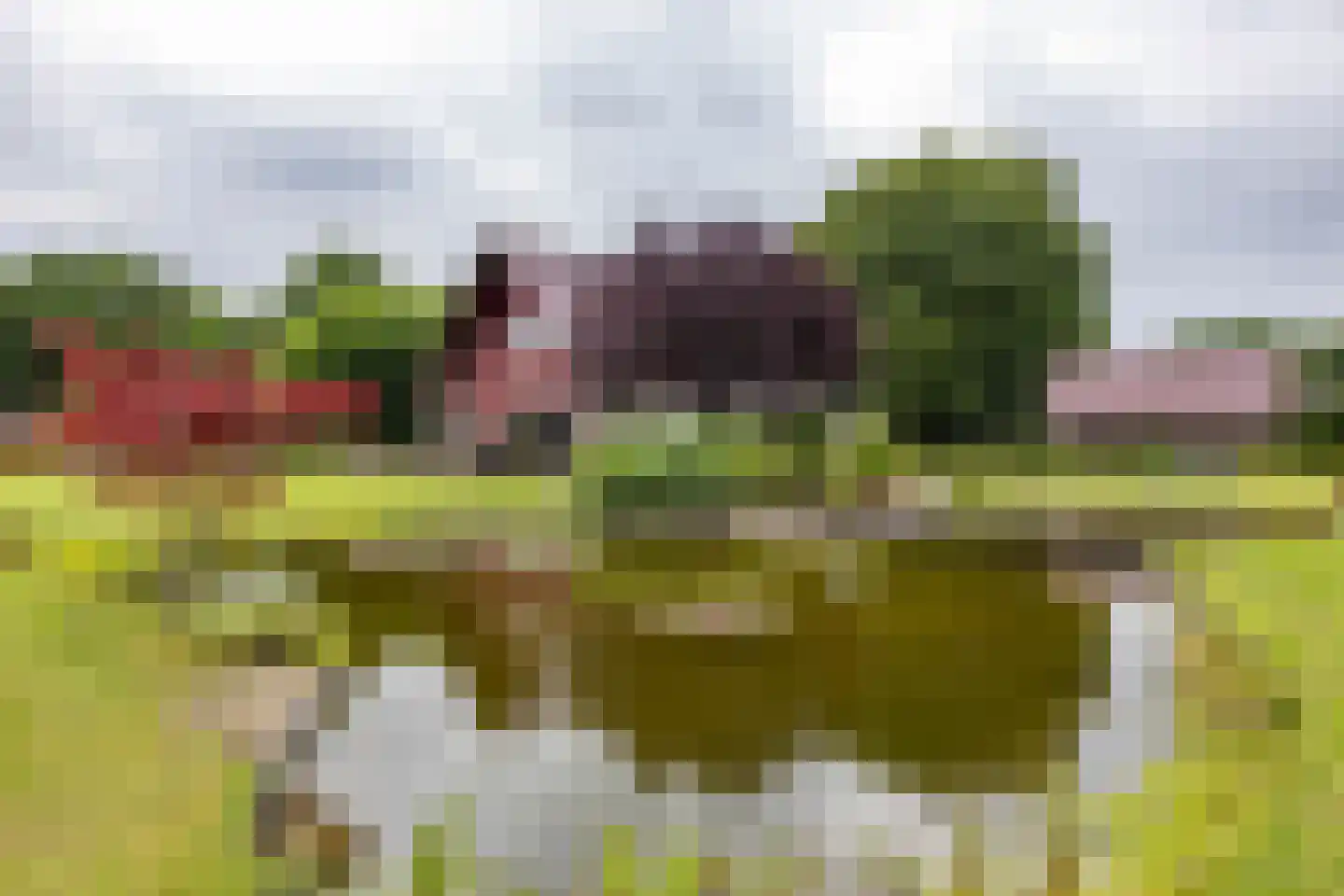 Groningerstraat 25 Midlaren thumbnail 78