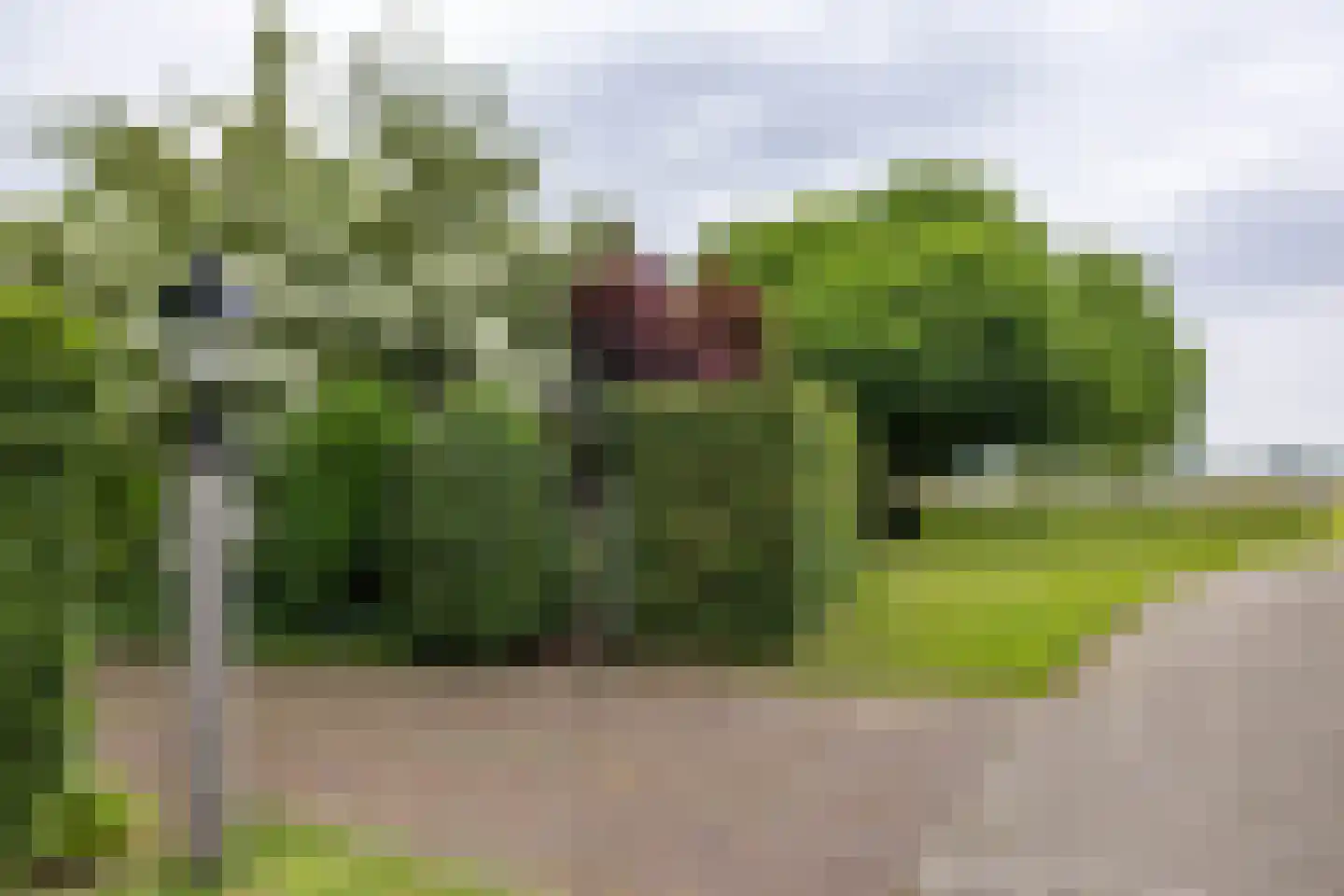 Groningerstraat 25 Midlaren thumbnail 81