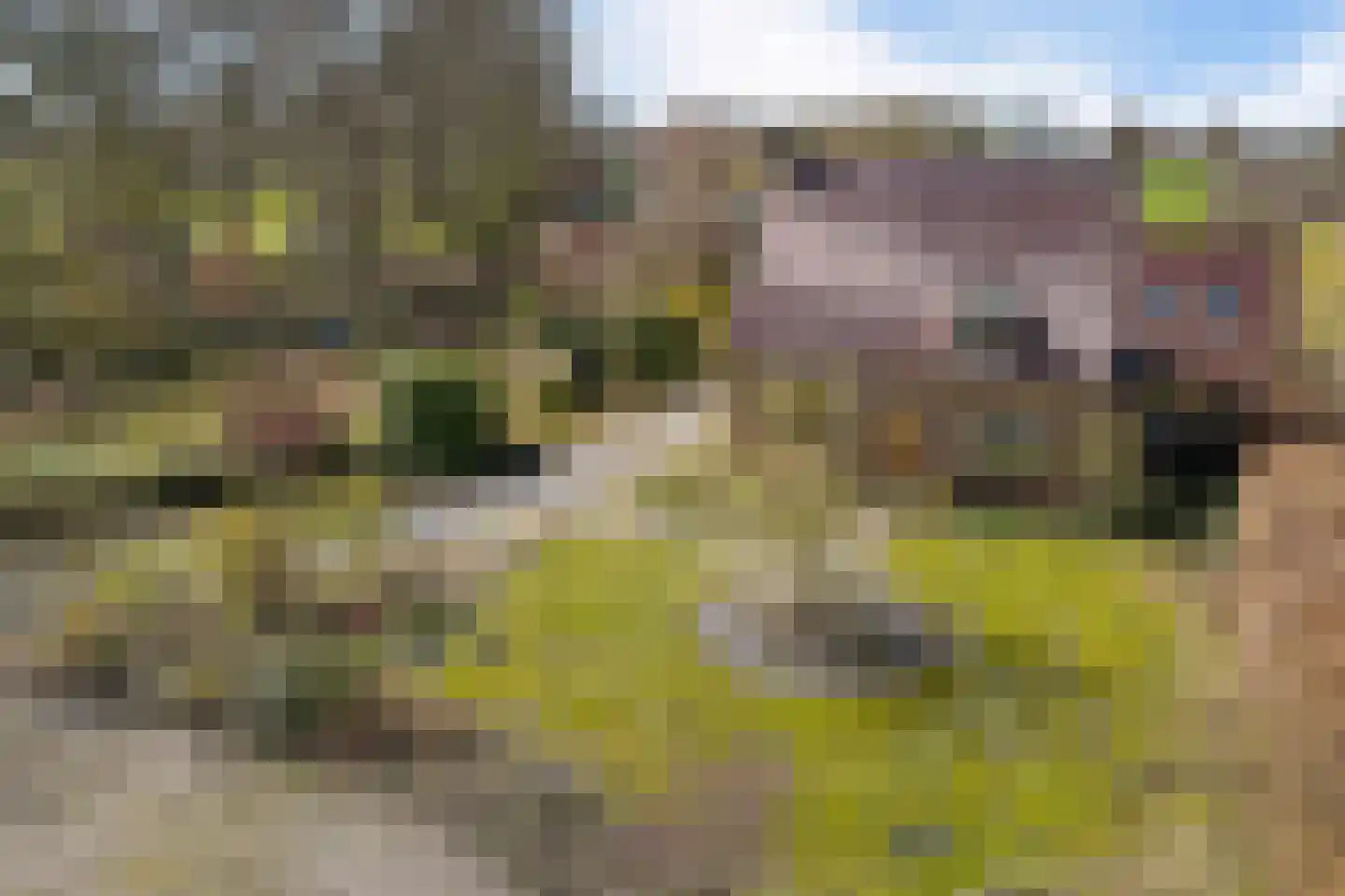 Groningerstraat 48 in Midlaren