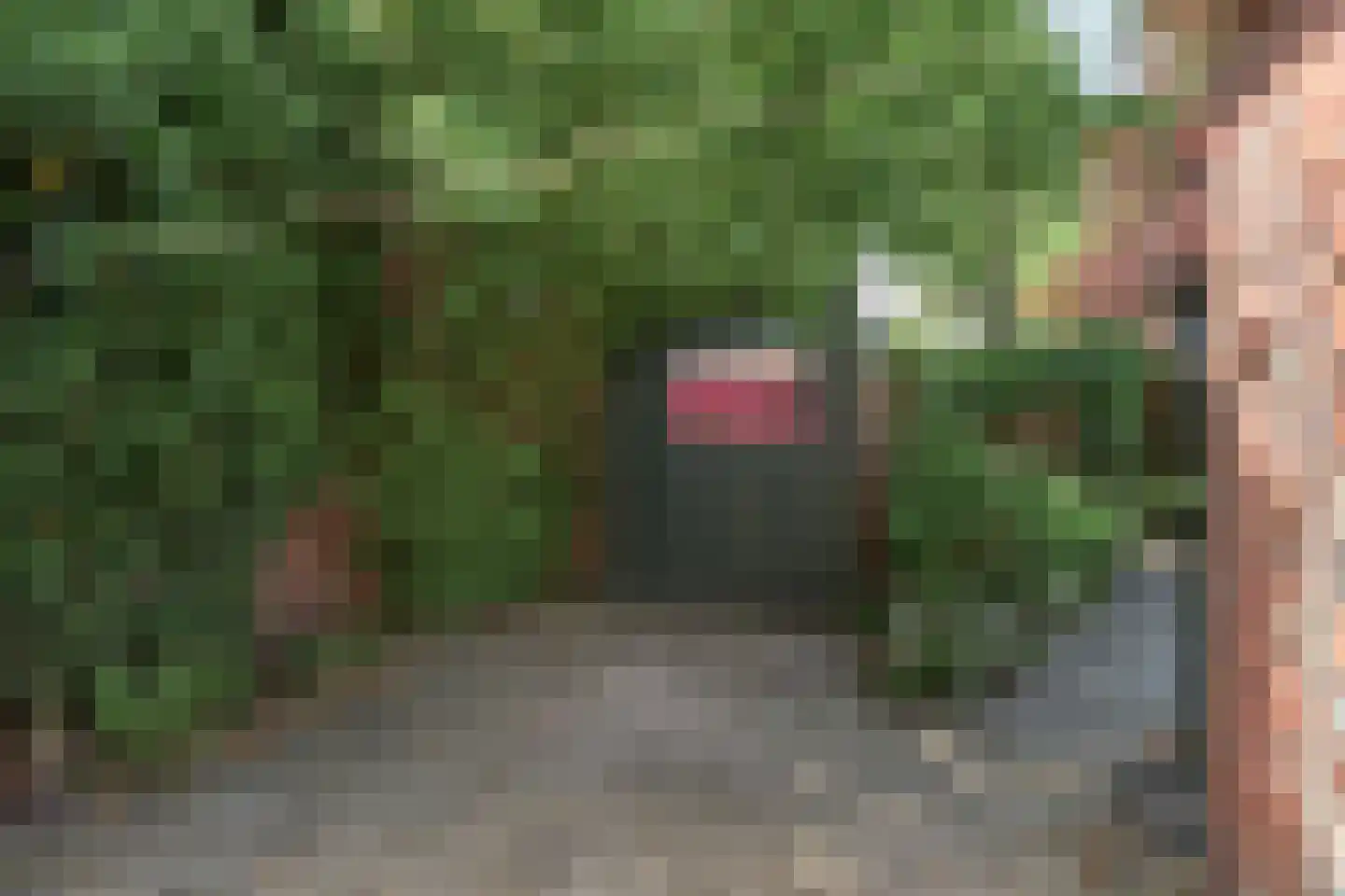 Groningerstraat 90 Surhuisterveen thumbnail 7