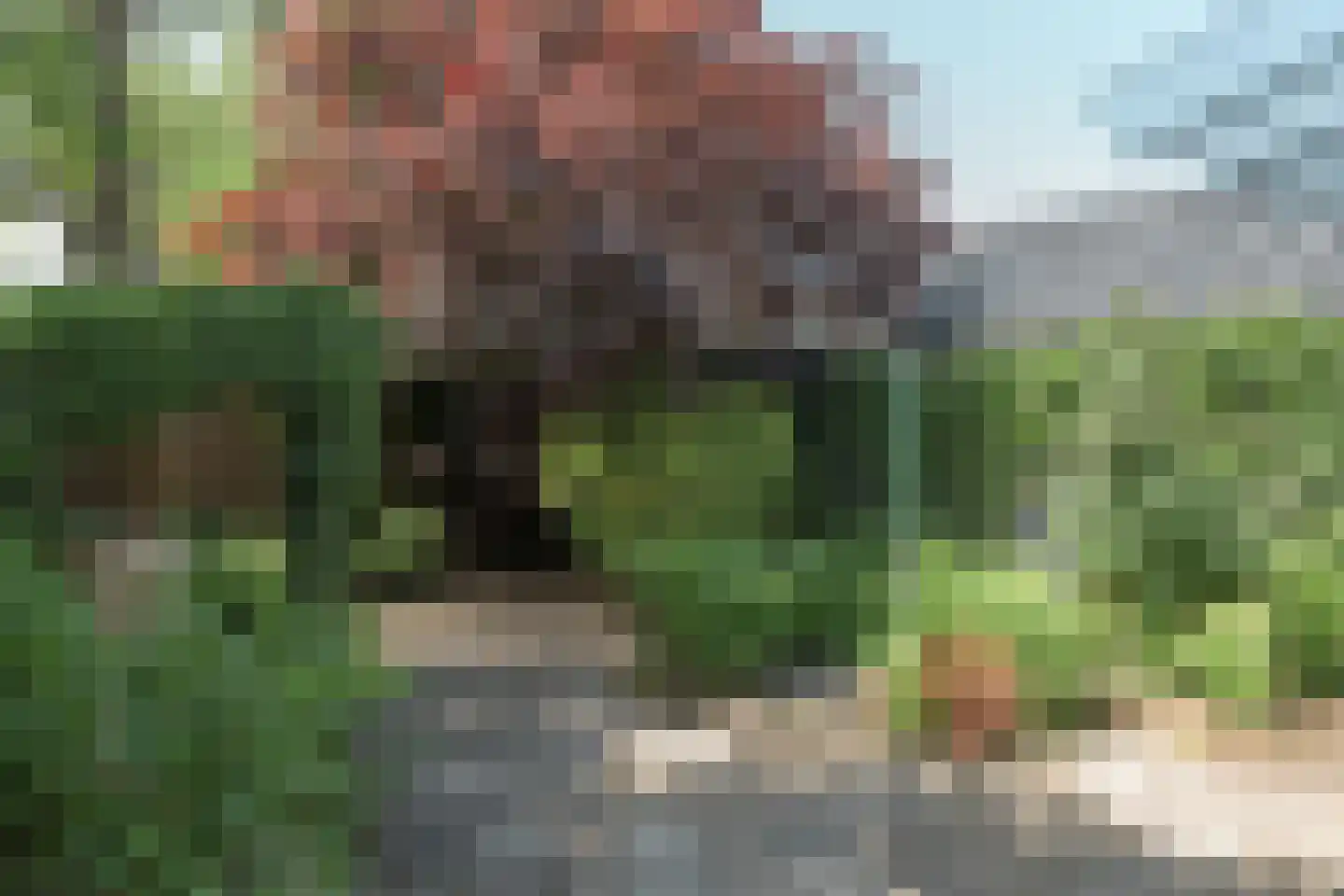 Groningerstraat 90 Surhuisterveen thumbnail 8